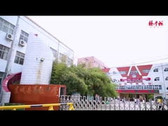 Gunung-gunung mie dengan sayuran dan telur marinasi sangat lezat dan membuat ketagihan!