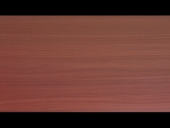 Vermicelli Dan Noodle Instan Dengan Rasa Daging Sapi Tomat